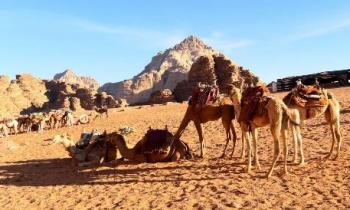 Deserto di Wadi Rum